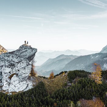 Sulzkarhund im Nationalpark Gesäuse I Steiermark | © Stefan Leitner